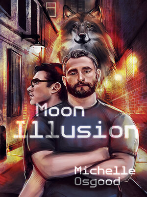 cover image of Moon illusion